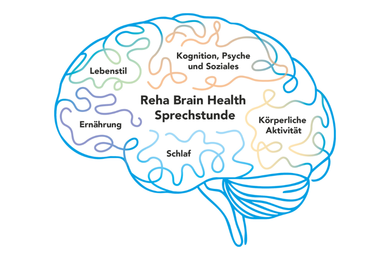llustration eines Gehirns mit den Kernbereichen der Reha Brain Health Sprechstunde: Kognition, Psyche, Soziales, körperliche Aktivität, Schlaf, Ernährung und Lebensstil